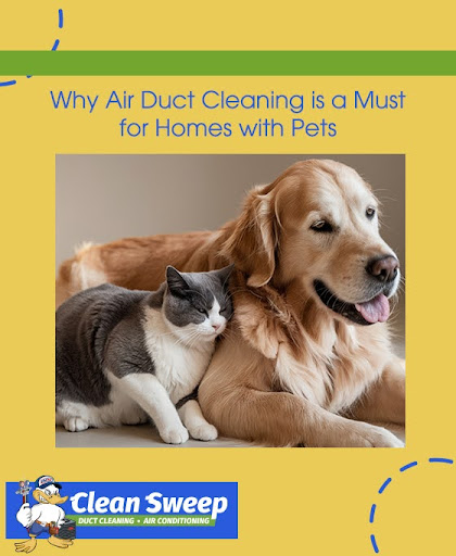 air duct cleaning for homes with pets